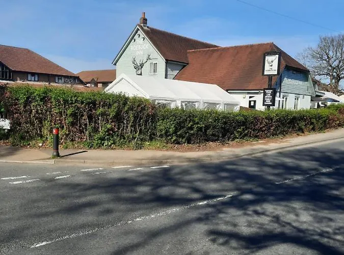 The Roebuck Inn